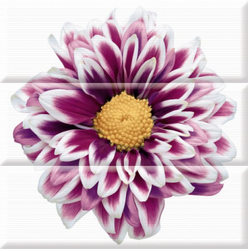 Плитка Composicion Flowers 45x45 (комплект 3шт) Absolut Keramika