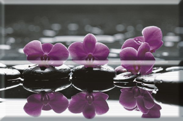 Плитка Composicion Wellness 02 Purple 30x45 (комплект 2шт) Absolut Keramika