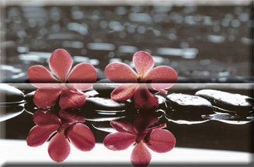 Плитка Composicion Wellness 02 Red 30x45 (комплект 2шт) Absolut Keramika