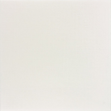 Плитка DAA44050 TESS 45x45 RAKO