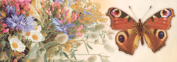 Плитка Dec Mariposa Blood 25х70 Keros Ceramica