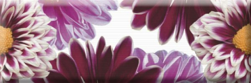 Плитка Decor Flowers 01 15x45 Absolut Keramika