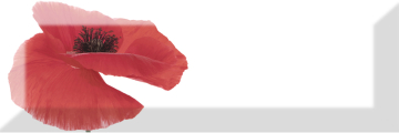 Плитка Decor Poppy 01 10X30 Absolut Keramika