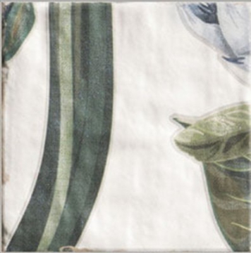 Плитка DECOR PROTEA 20x20 Mainzu
