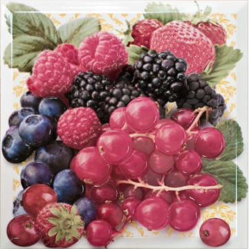 Плитка Decorado Multi Frutti Pano 30x30 Monopole Ceramica