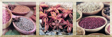 Плитка Exquisit A Brillo 10*30 Monopole Ceramica