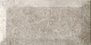 Плитка Forest Natural 10x20 Ribesalbes