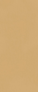 Плитка fTDS True Color Caramel Matt RT 50x120 FAP Ceramiche