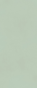 Плитка fTDV True Color Matcha Matt RT 50x120 FAP Ceramiche