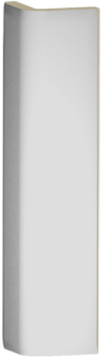 Плитка GSEAP112 Color Two 2,4*20 RAKO