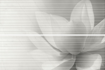 Плитка HGD/A200/2x/12102R Борсари 50х75 Kerama Marazzi