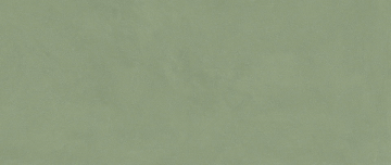 Плитка HHIY Vivia Crelis Light Green Lucido 50x120 Atlas Concorde