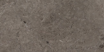 Плитка L108035361 Habana Grey Pulido 40x80 L'Antic Colonial