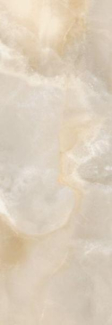 Плитка N60013 Onix Delicato Brillo 24.2x70 Eletto Ceramica