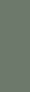 Плитка Nightwish Green Rekt 25х75 Paradyz