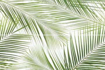 Плитка Панно Brennero Tropic (2) 50x75 Ceramika Konskie