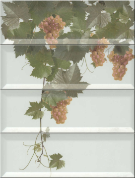 Плитка Panno Moscatel Blanco 40x30 Monopole Ceramica