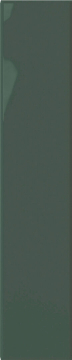 Плитка Plinto Green Gloss 10.7x54.2 DNA Tiles