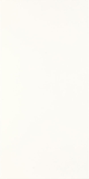 Плитка Porcelano Bianco 30х60 Paradyz