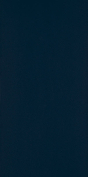 Плитка Porcelano Blue 30х60 Paradyz