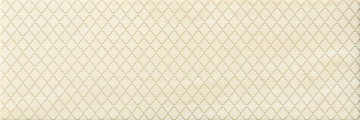 Плитка PRWD080 Preciouswall Alabastro Decorato 25x75 Ascot