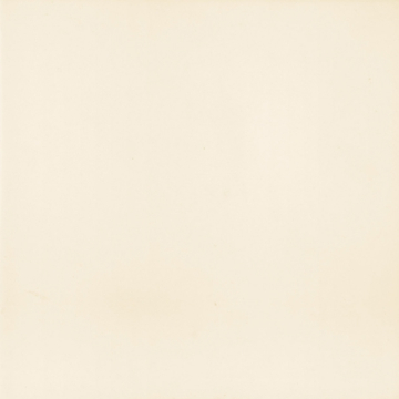 Плитка PT01199 Victorian Blanco 20*20 Mainzu