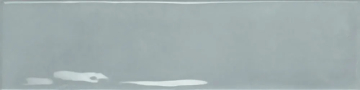 Плитка PT02911 Earth Powder Gloss 7.5x30 Ribesalbes