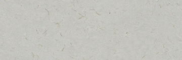 Плитка R0002309 Botanical Savia Rect. 30x90 Ibero