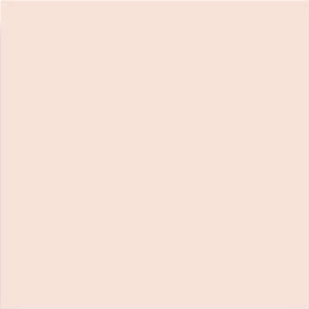 Плитка Salmon Mate 20x20 VIVES