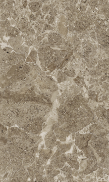 Плитка Saloni brown 02 30*50 Gracia Ceramica