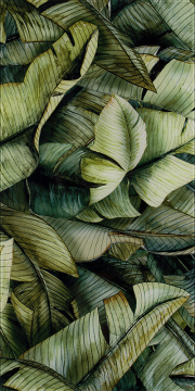 Плитка Uniwersalne Inserto Szklane Leaf A 30x60 Paradyz