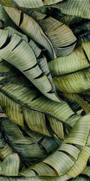 Плитка Uniwersalne Inserto Szklane Leaf B 30x60 Paradyz