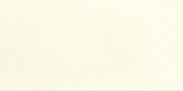 Плитка VANITY WATMB041 20x40 RAKO