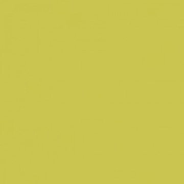 Плитка WAA1N454 Color One 20*20 RAKO
