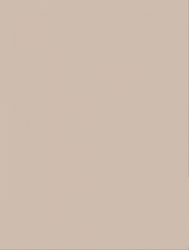 Плитка WAAKB008 CONCEPT Plus Beige 25x33 RAKO