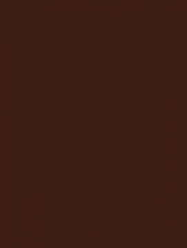 Плитка WAAKB009 CONCEPT Plus Brown 25x33 RAKO