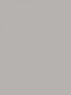 Плитка WAAKB010 CONCEPT Plus Grey 25x33 RAKO