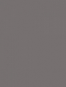 Плитка WAAKB011 CONCEPT Plus Dark Grey 25x33 RAKO