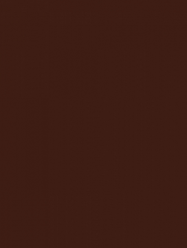 Плитка WAAKB109 CONCEPT Brown 25x33 RAKO