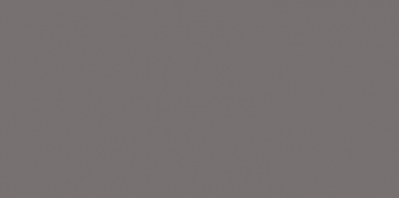 Плитка WAAMB111 CONCEPT Dark grey 20x40 RAKO