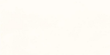 Плитка WADMB719 Extra 20x40 RAKO