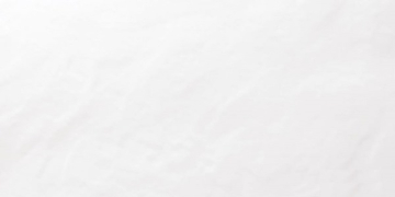 Плитка WAGV4104 Light white relief 30x60 RAKO