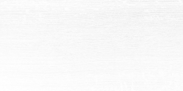 Плитка WAKV4160 Saloon White 30x60 RAKO