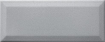 Плитка WARGT110 CONCEPT PLUS Grey 25x10 RAKO