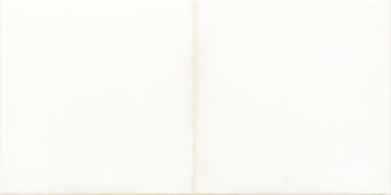 Плитка WARMB521 Retro White 20x40 RAKO