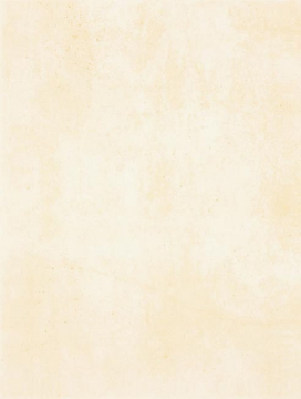 Плитка WATKB230 PATINA light beige 25x33 RAKO