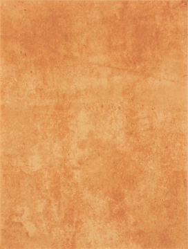 Плитка WATKB231 PATINA brick 25x33 RAKO