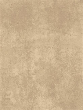 Плитка WATKB232 PATINA grey - beige 25x33 RAKO