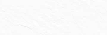 Плитка WT15LEN00R Leon White 246*740*9,8 Delacora