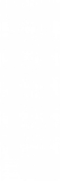 Плитка WT15ROL00R Royal White 24.6x74 Delacora